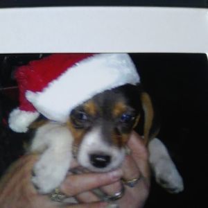 Meet your Posher, Barb